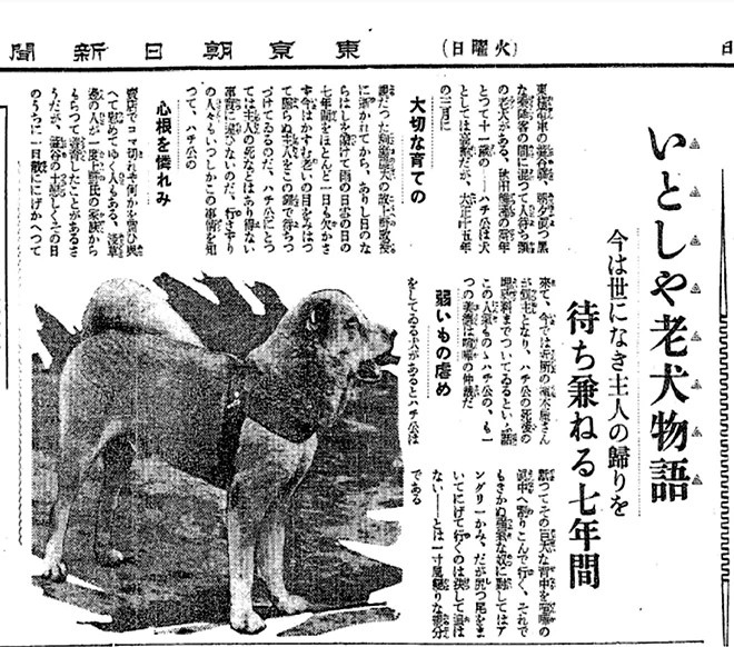 Asahi Shimbum 1932 article about Hachiko