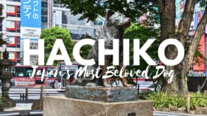 Hachiko: Japan's Most Beloved Dog