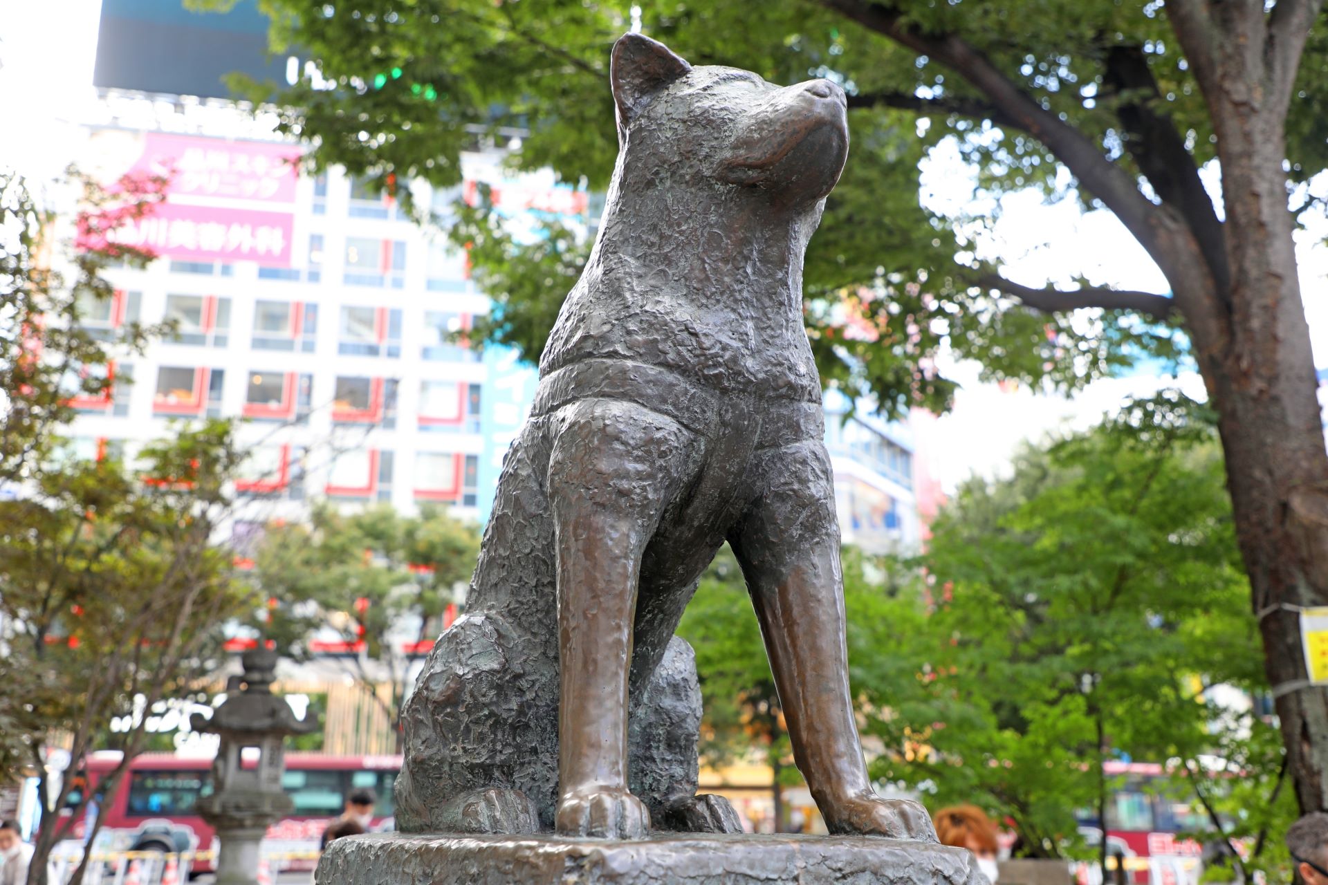 Hachiko Memorial Statue in Shibuya