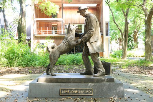 Hachiko and Ueno memorial at the Agriculture department campus of Tokyo University