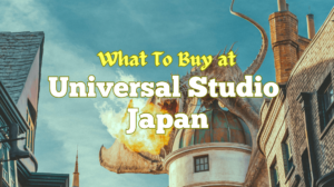 What to Buy at Universal Studios Japan