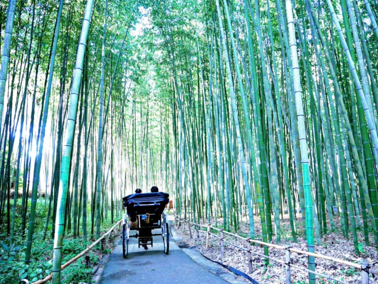 10 Best Things to Do in Kyoto in August 2025