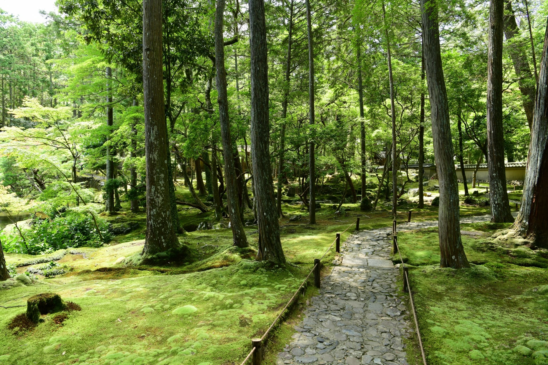 Saihoji temple