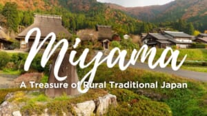 Miyama: A Treasure of Rural Traditional Japan