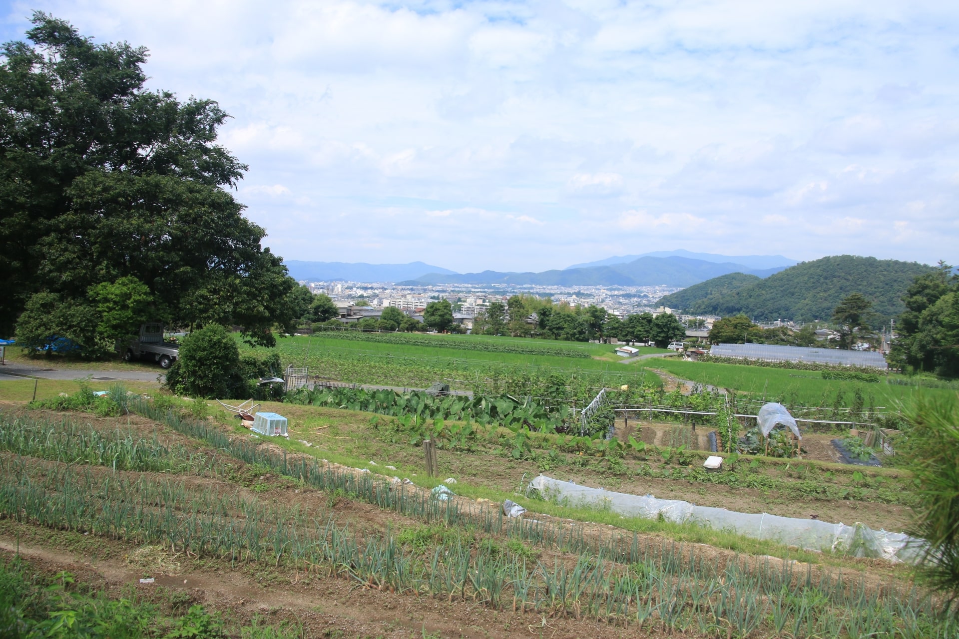 Vast fields at Shugakuin Imperial Villa