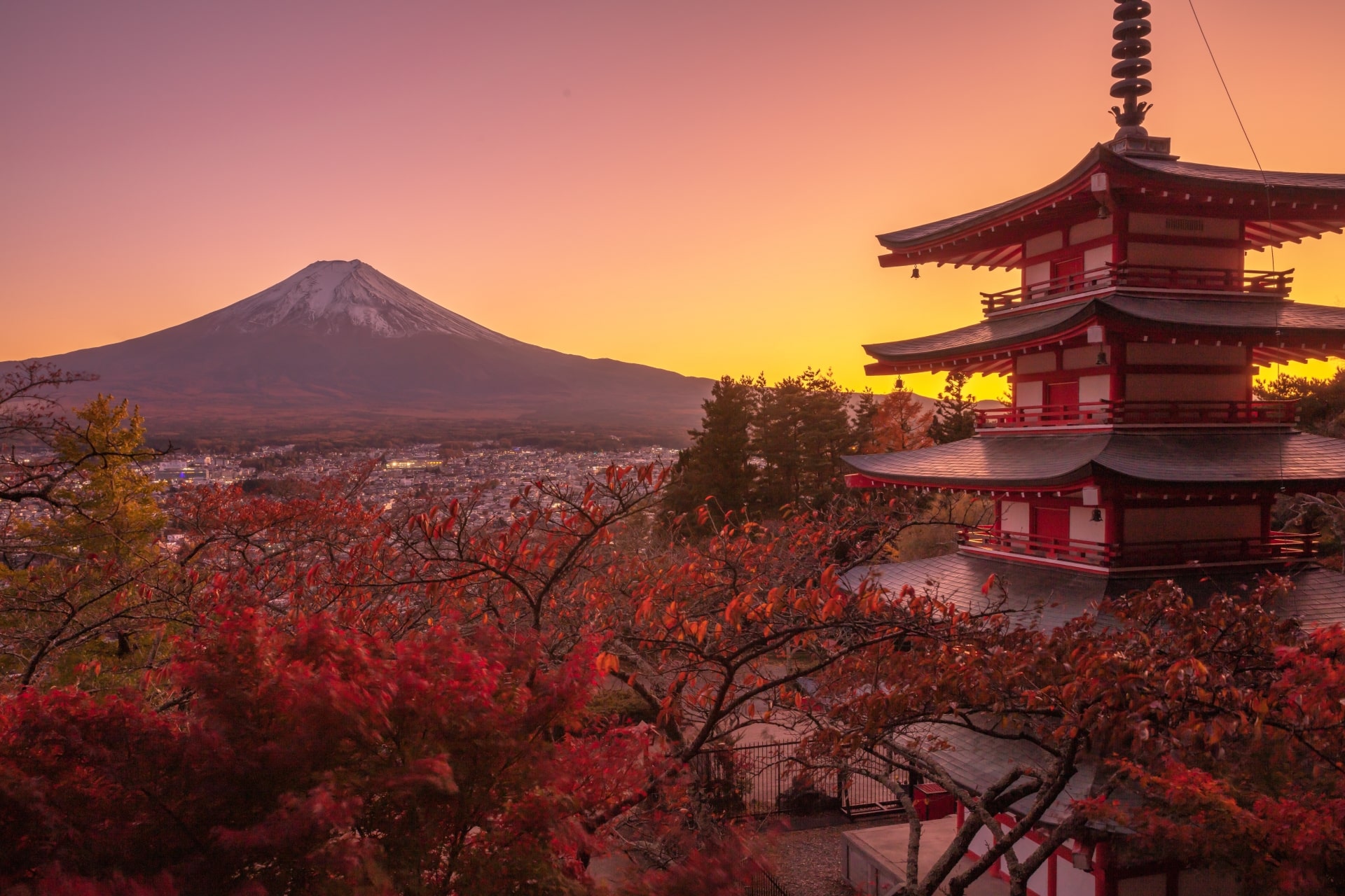 Autumn leaves at Arakurayama Sengen Park