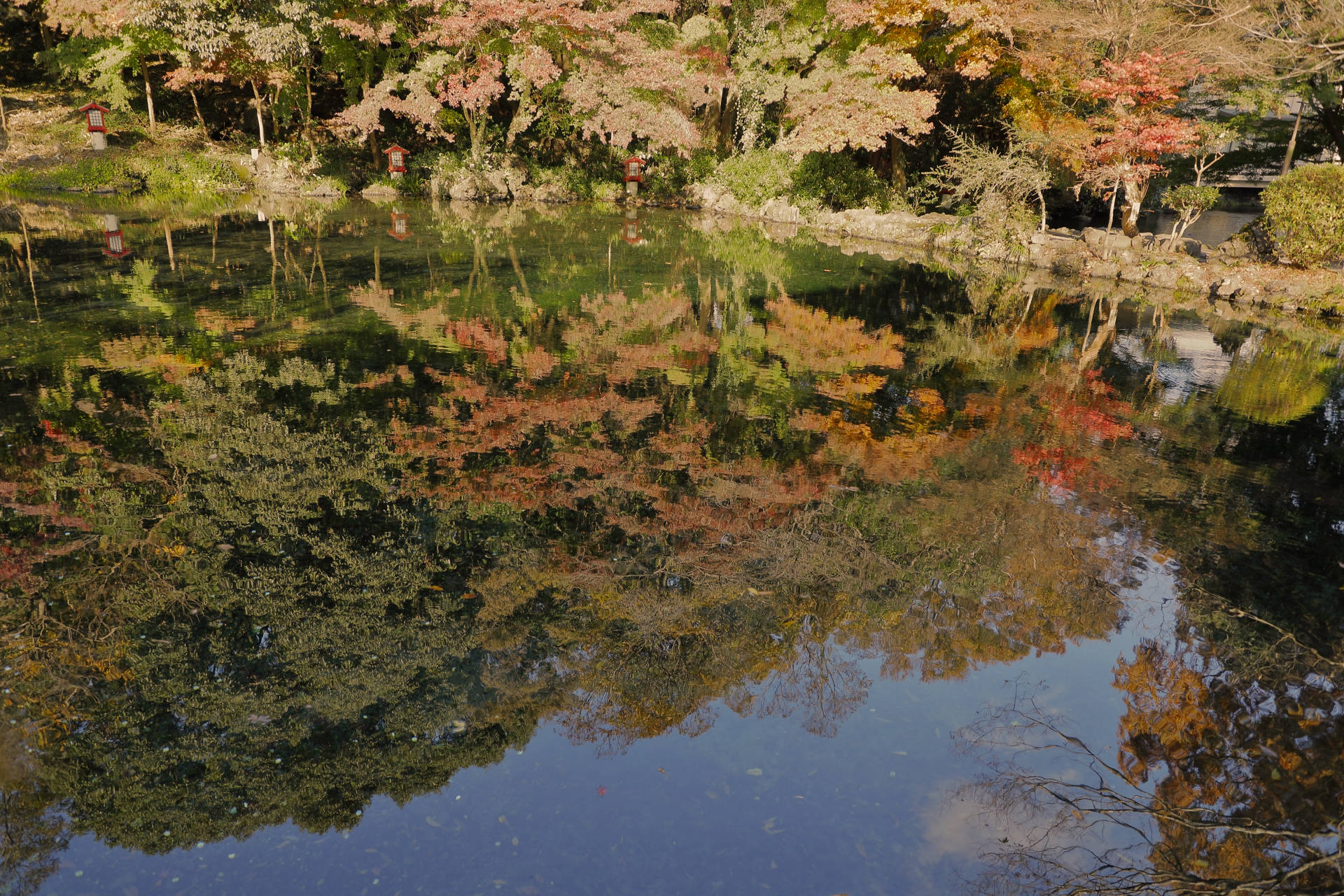 Autumn leaves reflected in Wakutama Pond at Fujisan Hongu Sengen Taisha