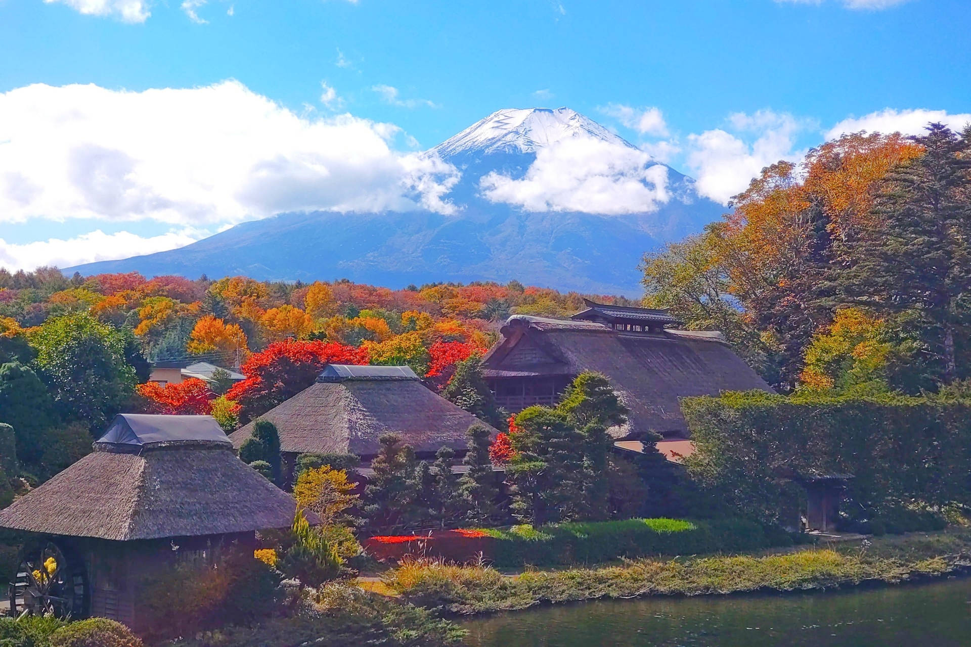 Autumn leaves at Oshino Hakkai