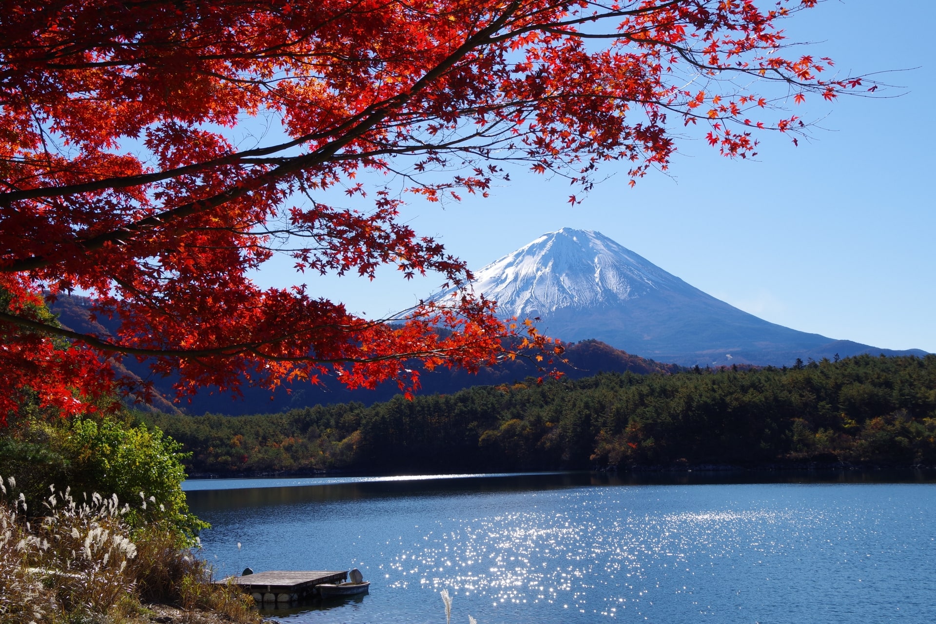 Autumn leaves at Sai Lake