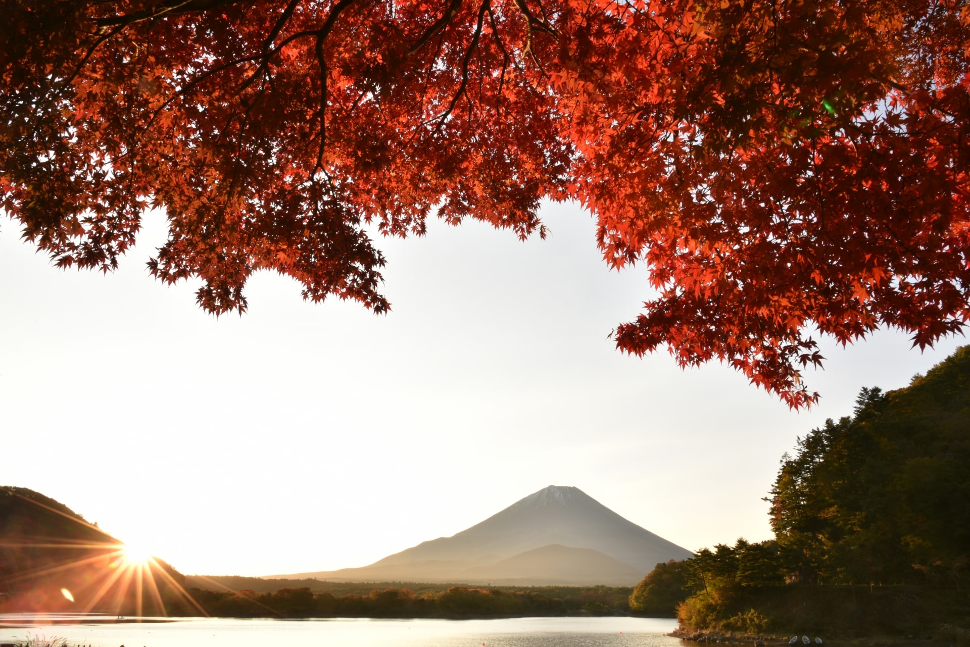 Autumn leaves at Lake Shoji