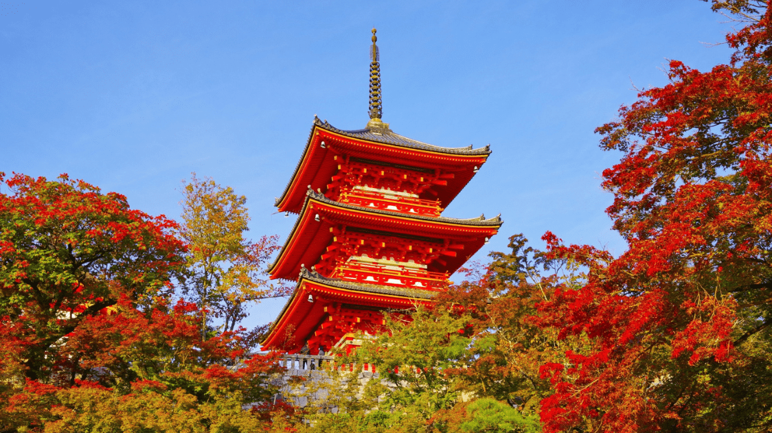 Best thing to do in Kyoto in October-min