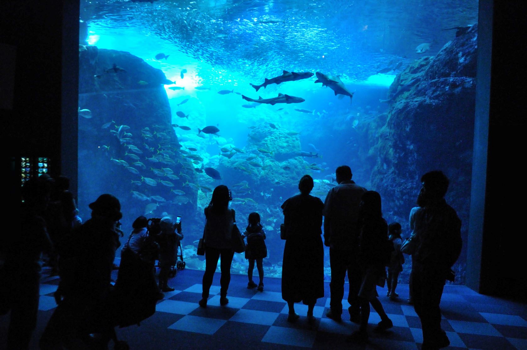 Enoshima Aquarium