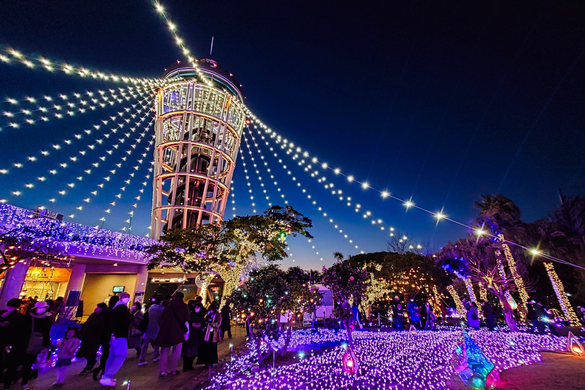 Illumination in Samuel Cocking Garden and Enoshima Sea Candle