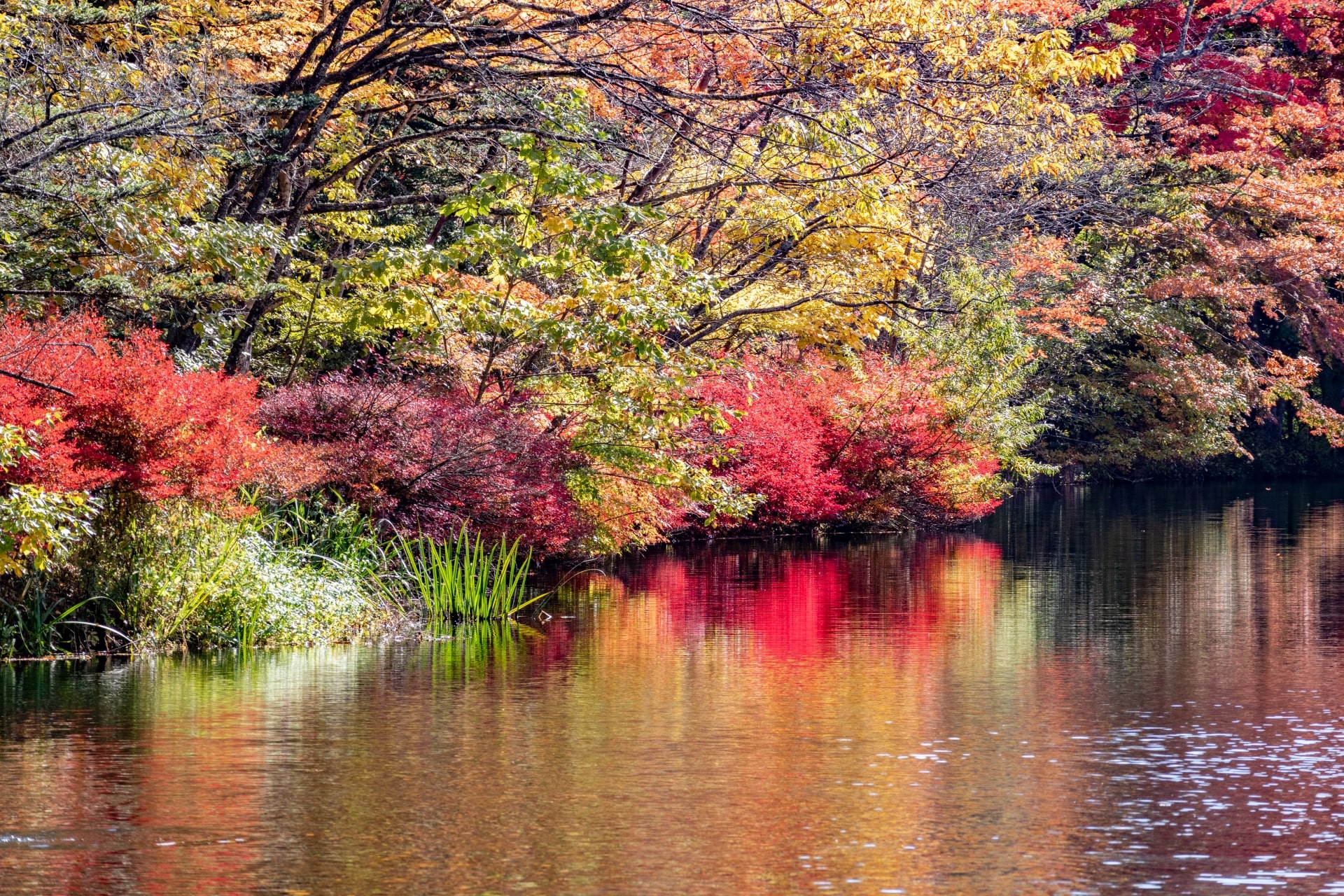 Autumn in Karuizawa