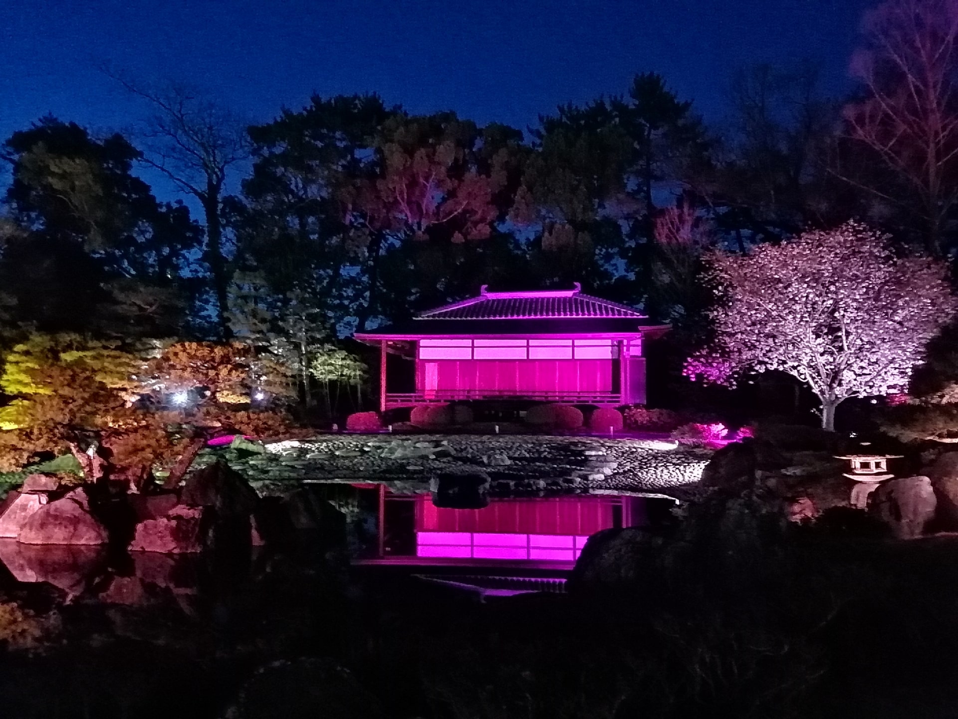 Nijo castle light up and illumination-min