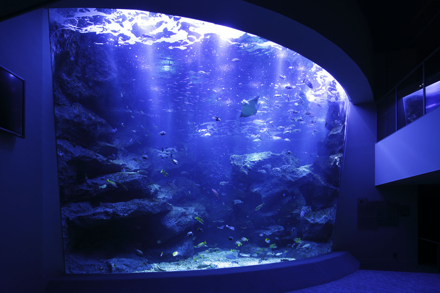 Sumida Aquarium