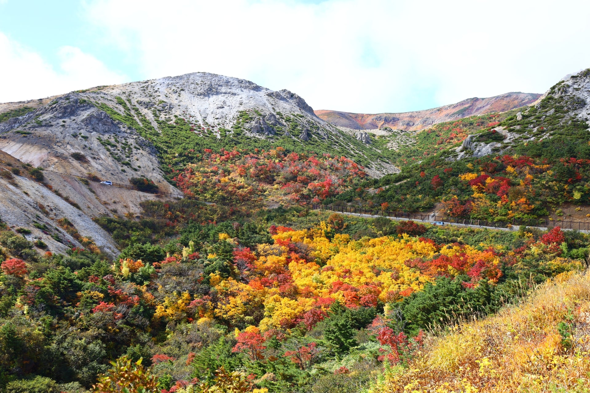 Autumn leaves at Bandai-Azuma Skyline