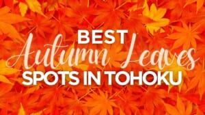 Best Autumn Leaves Spots in Tohoku