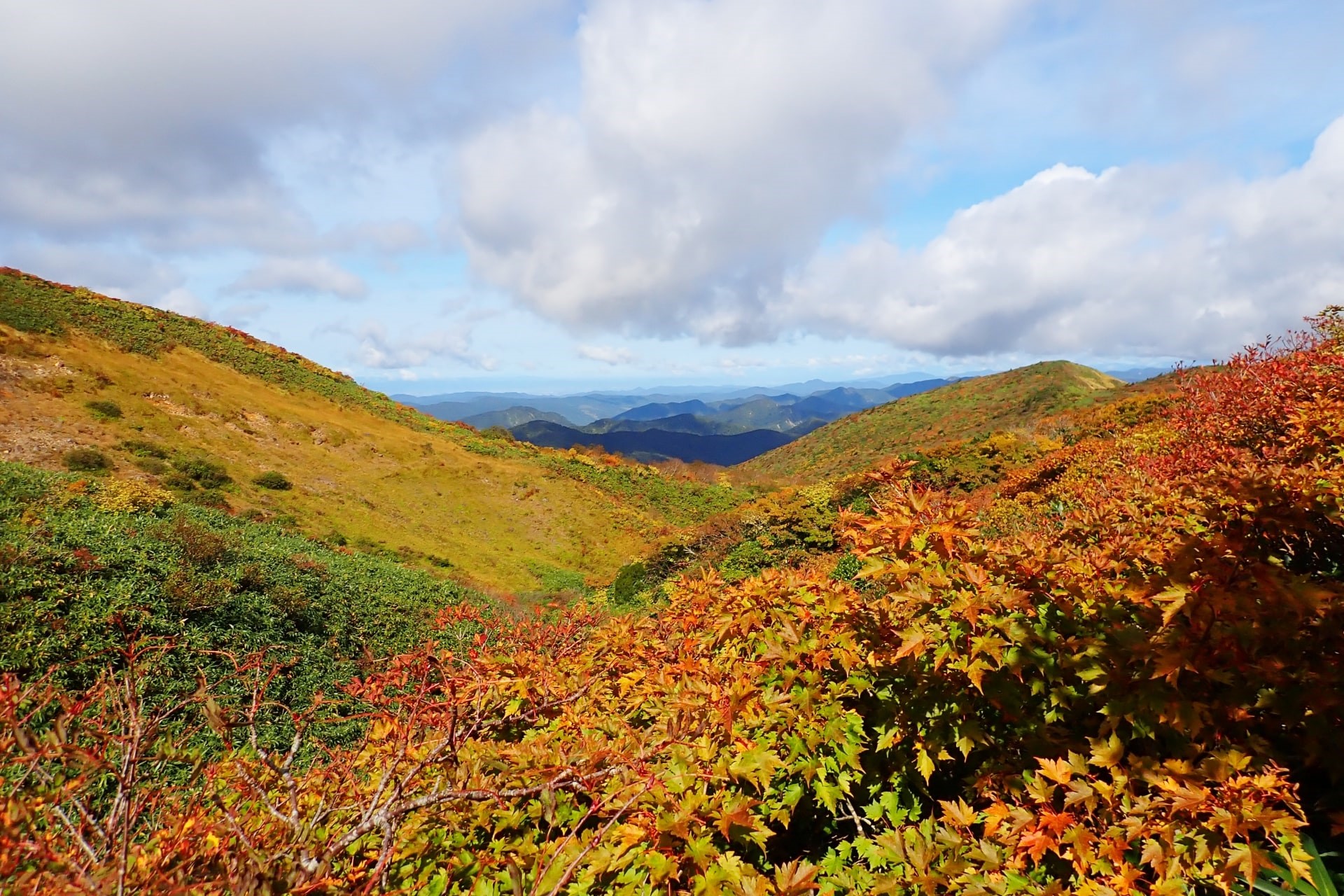 Autumn leaves in Mount Kurikoma