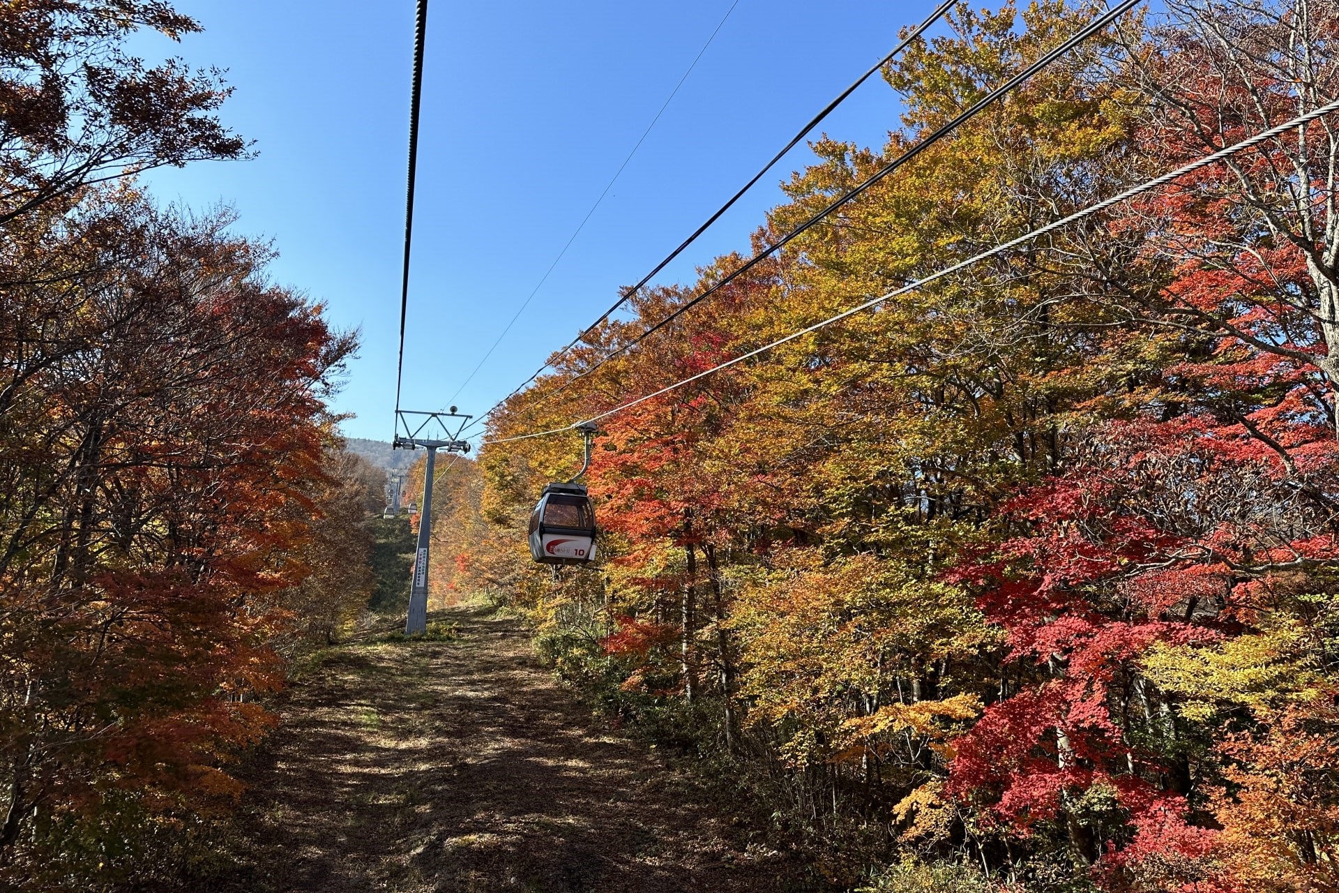 Autumn leaves at Zao Ropeway in Zao Onsen