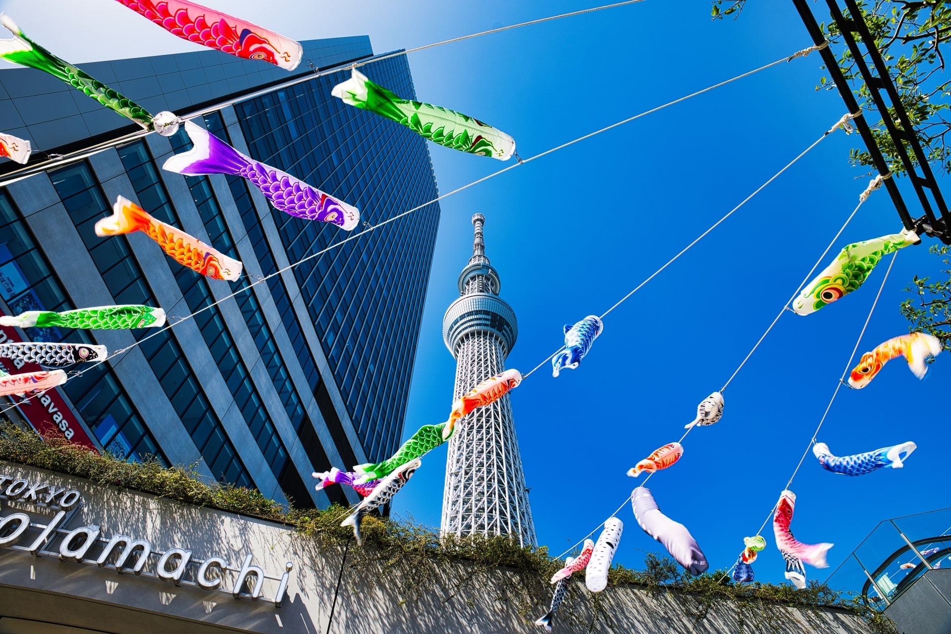 Tokyo Skytree from below