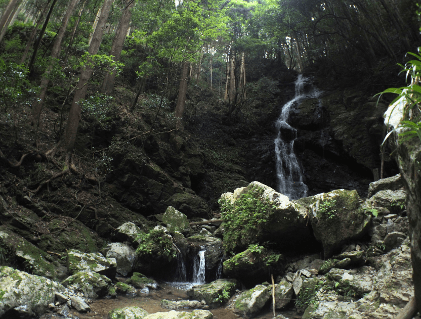 Kisadani walking