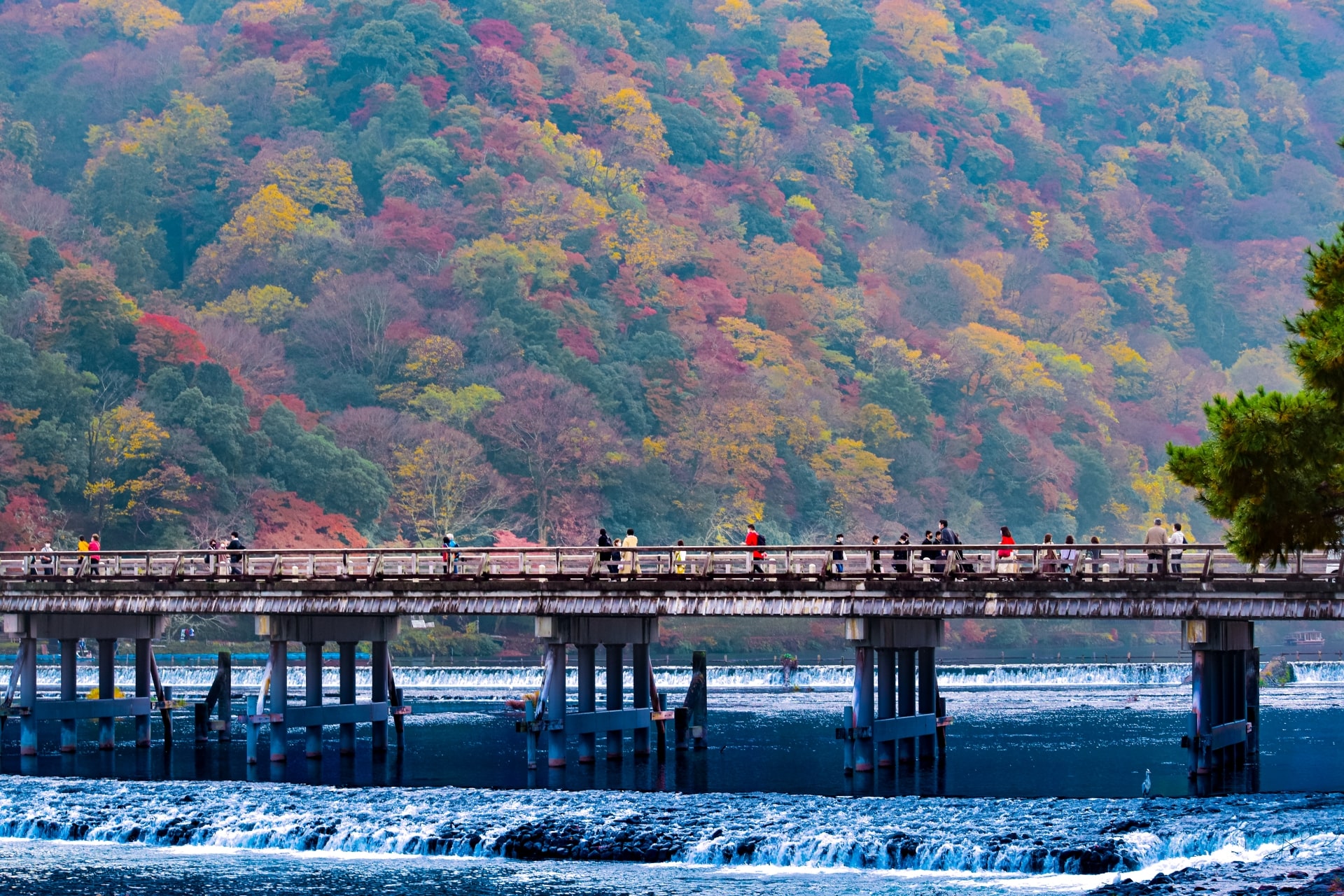 explore arashiyama-min