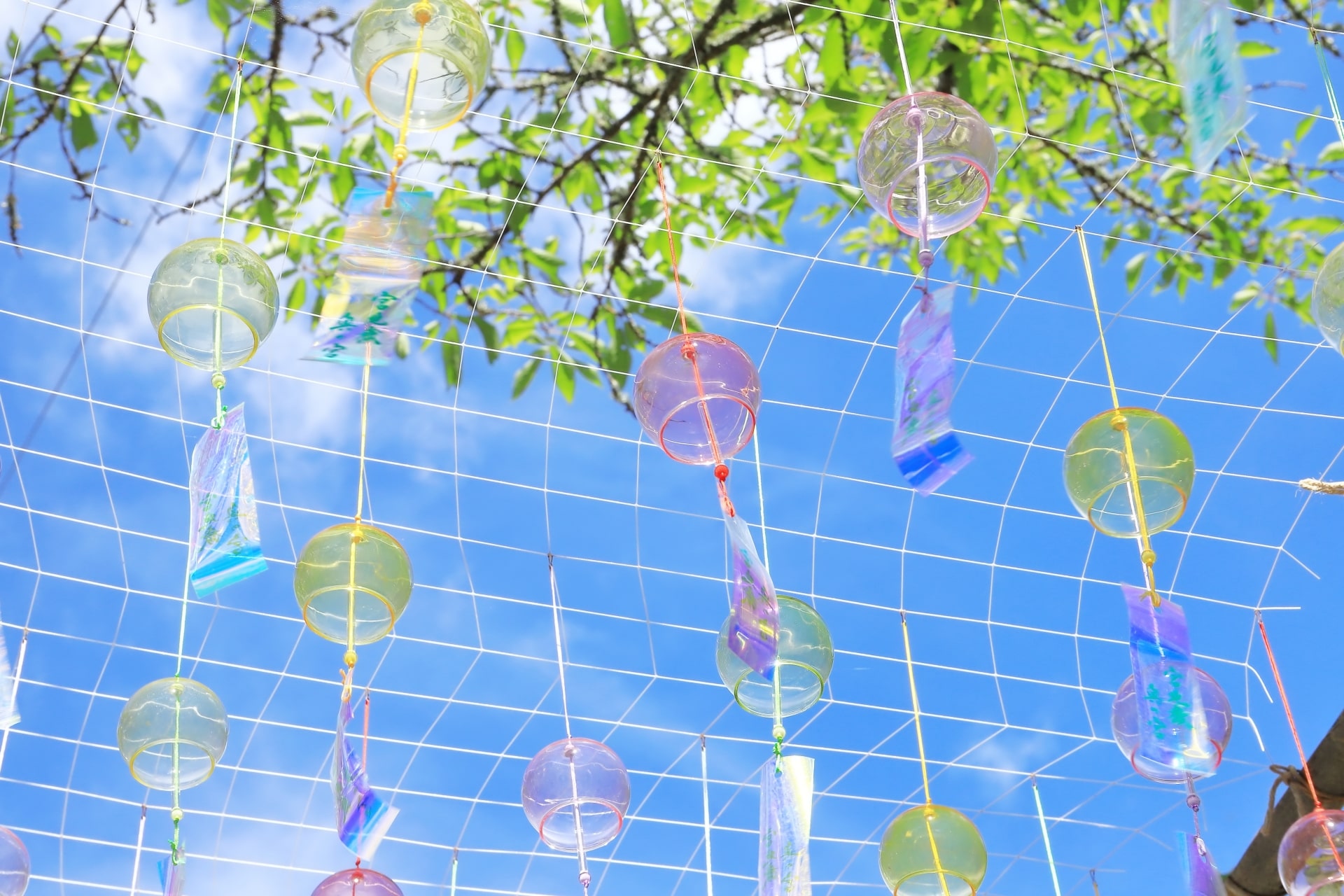 Furin Wind Chimes