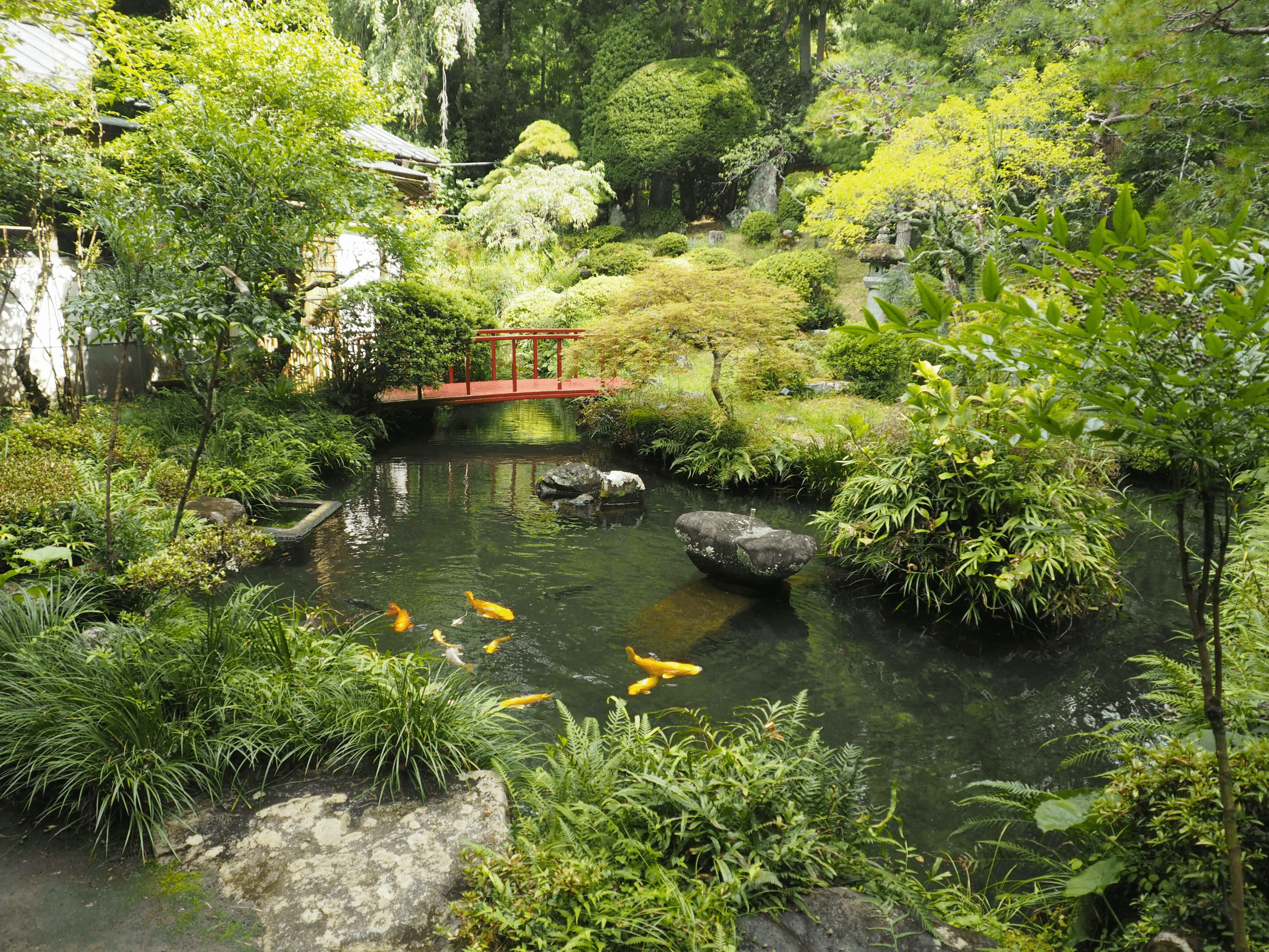 Garden at Kakurinbo