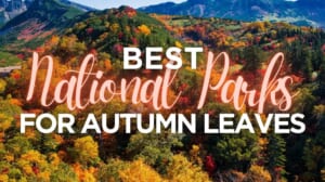 Best National Parks for Autumn Leaves Viewing