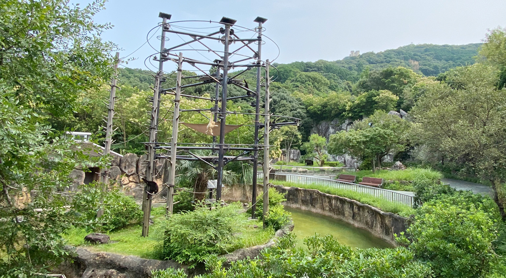 Tropical forest area at Noichi Zoological Park