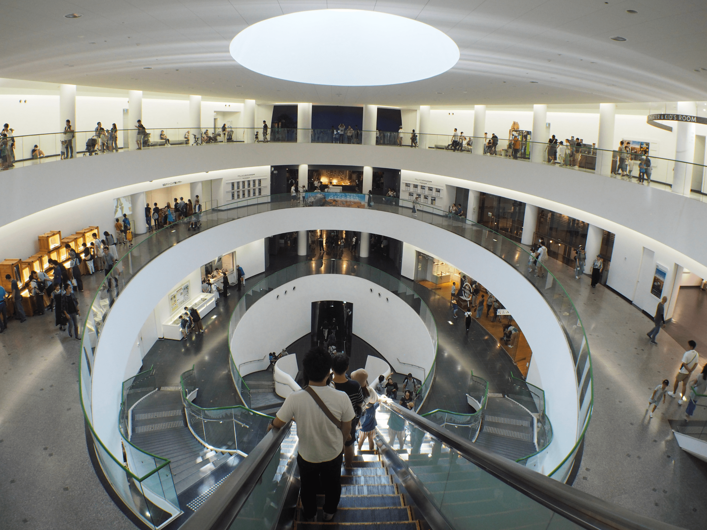 Dinosaur museum stairs