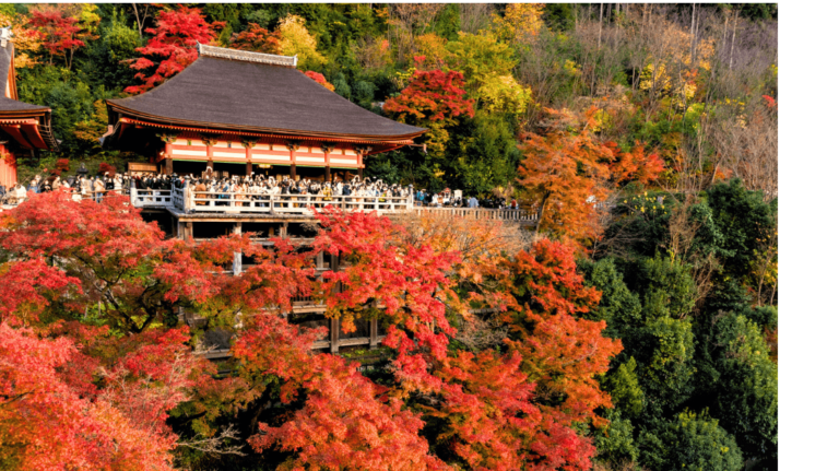 10 Best Things to Do in Kyoto in November 2025