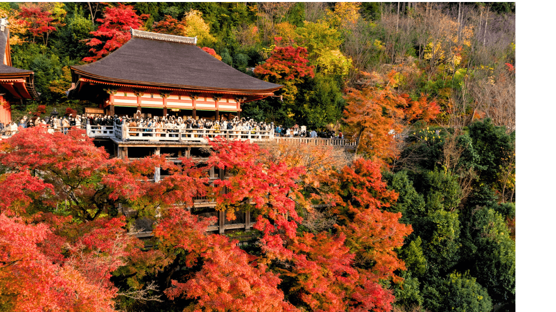 Kyoto in November 1-min