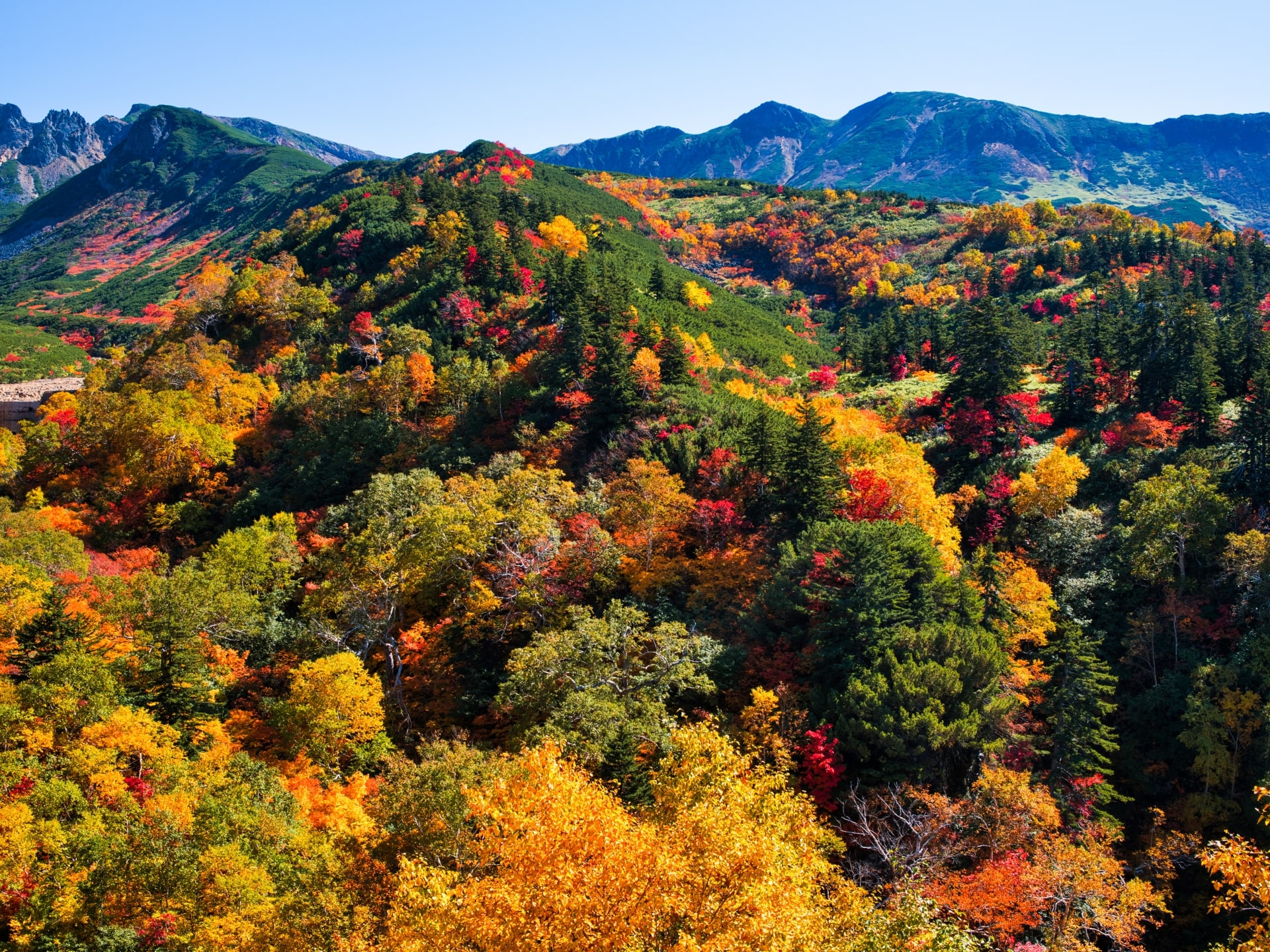 Autumn at Daisetsuzan National Park