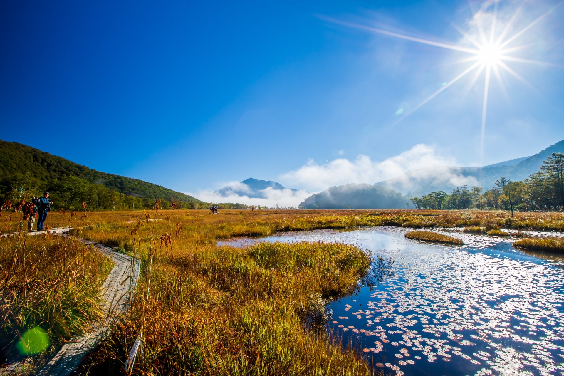 Oze National Park