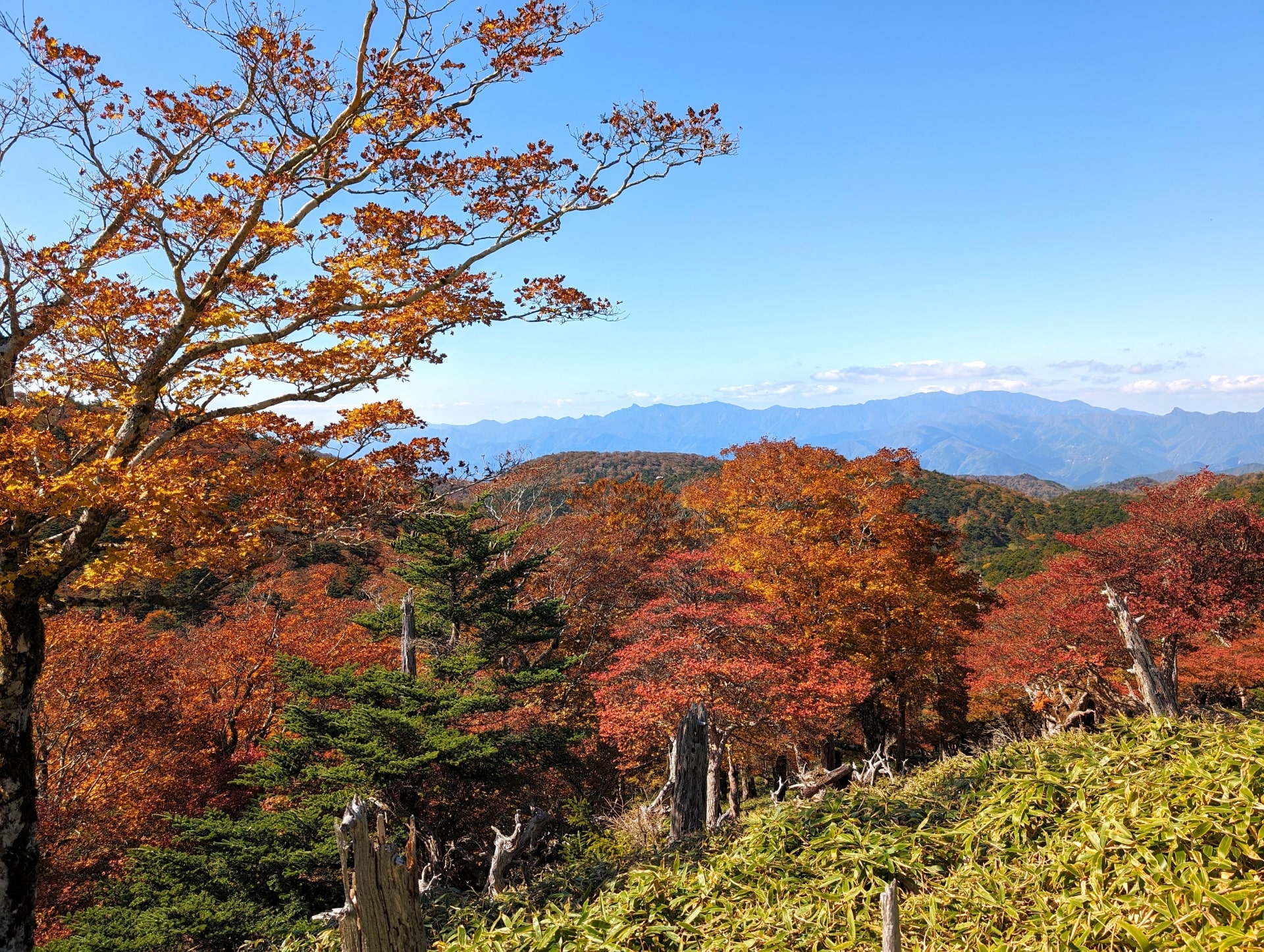 Autumn at Yoshino-Kumano National Park