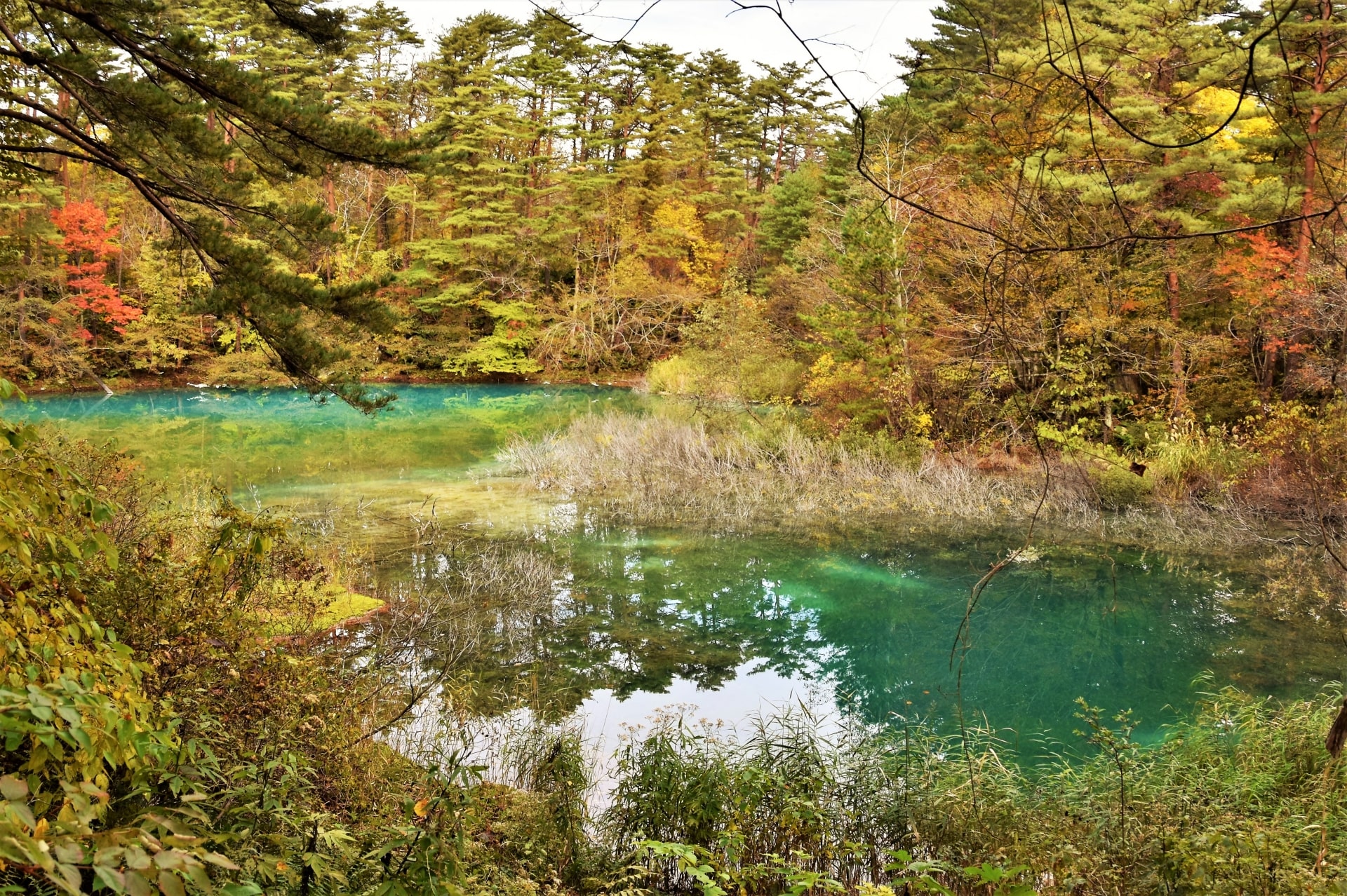 Autumn at Bandai Asahi National Park