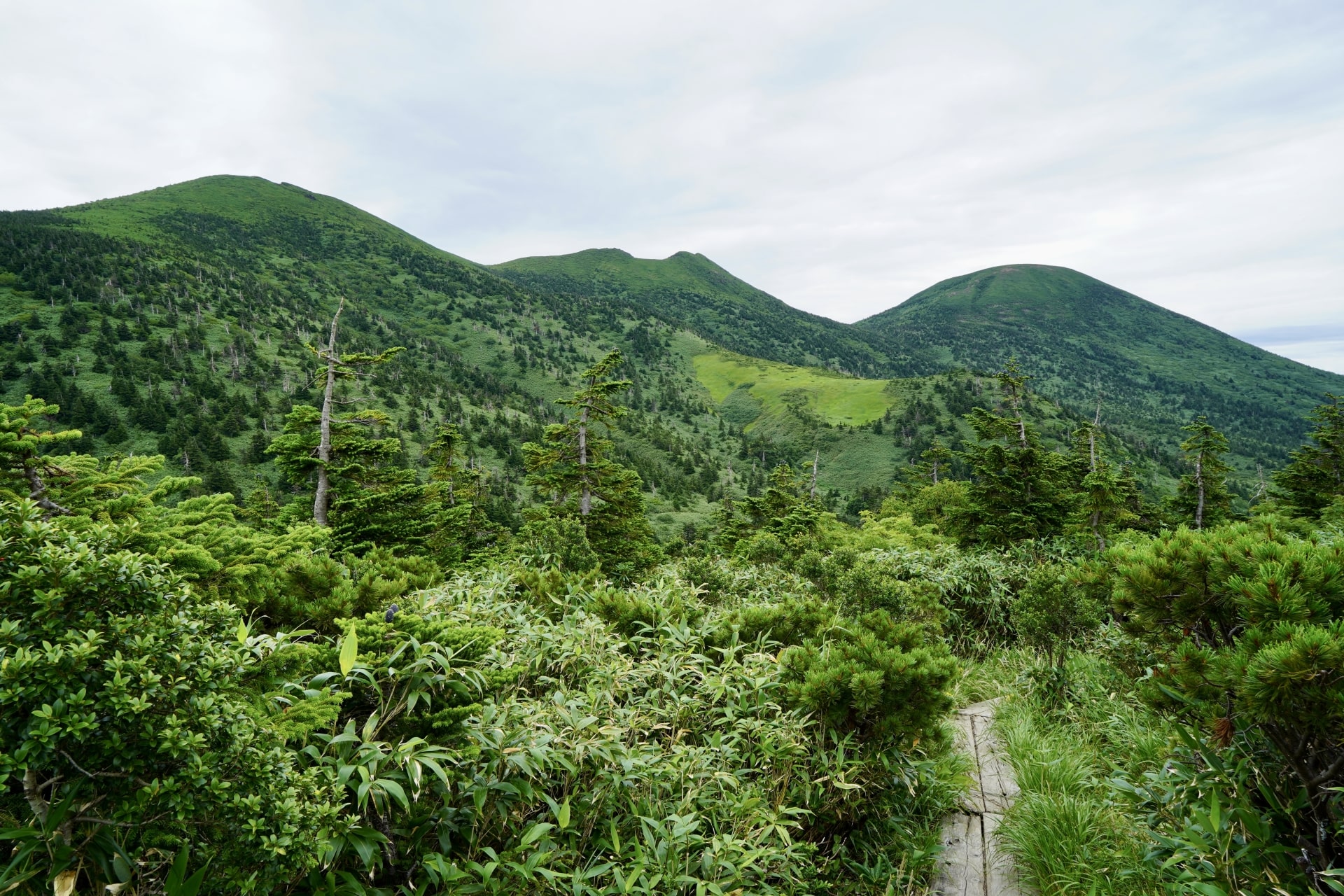 Hakkoda Mountains at Towada-Hachimantai National Park