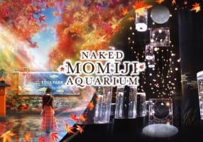 NAKED MOMIJI AQUARIUM at Maxell Aqua Park Shinagawa