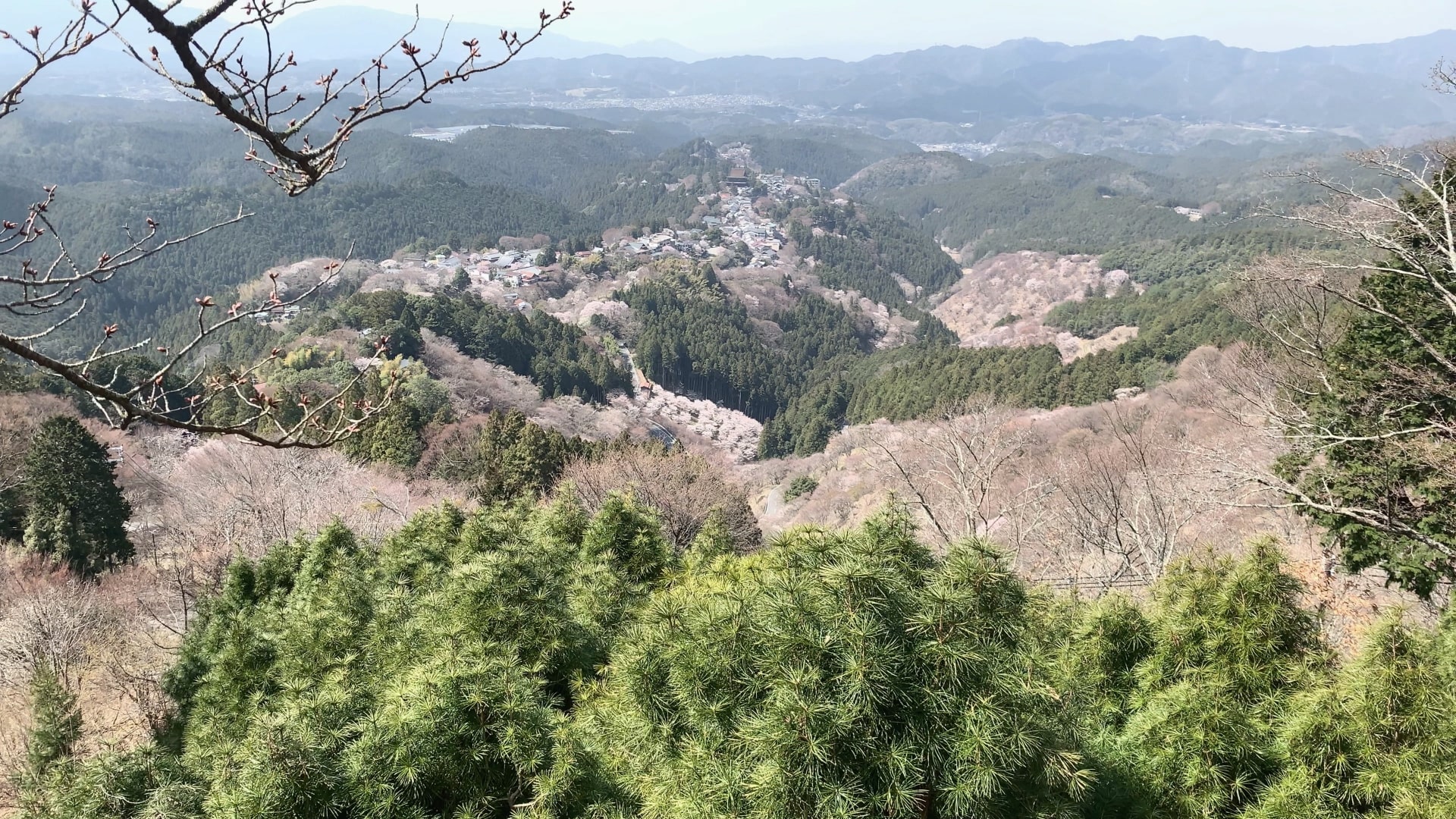 Cherry blossoms at Mt. Yoshino at Yoshino-Kumano National Park