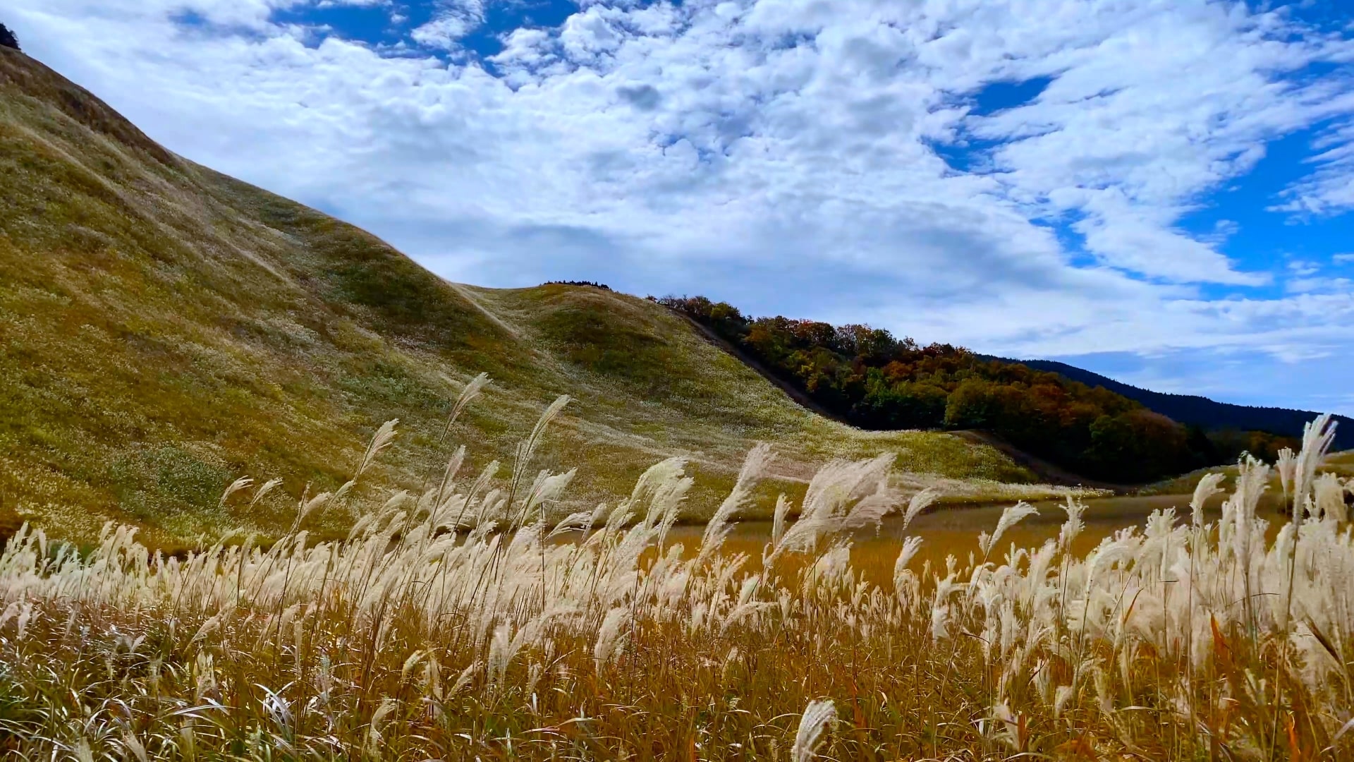 Soni Plateau at Muro-Akame-Aoyama Quasi-National Park