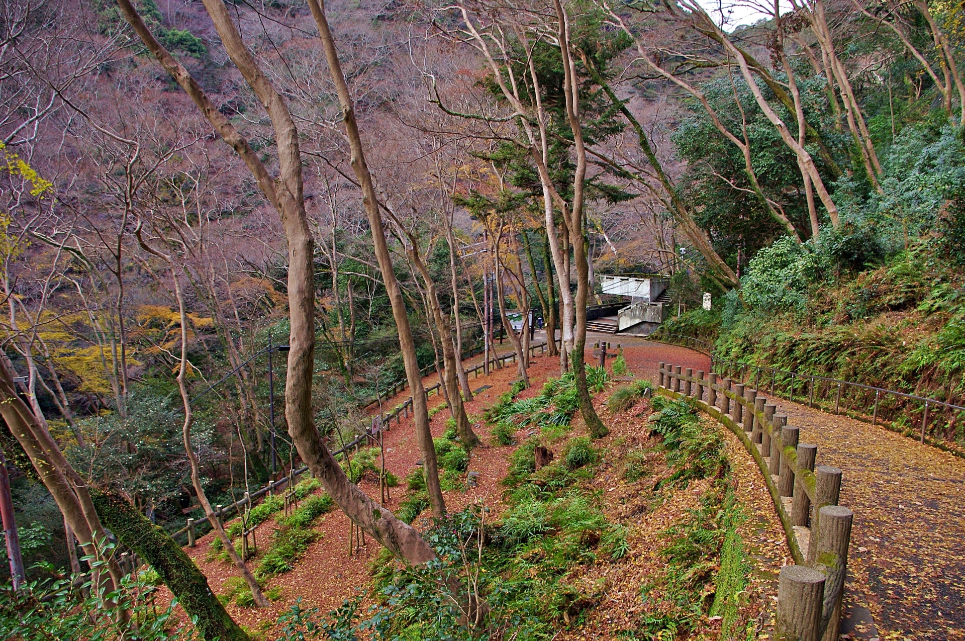 Minoo River Promenade at Meiji no Mori Minoo Quasi-National Park