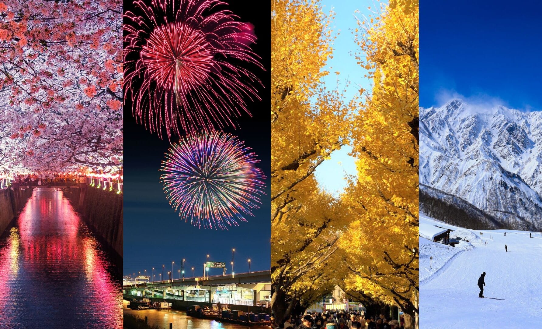 Tokyo by Season