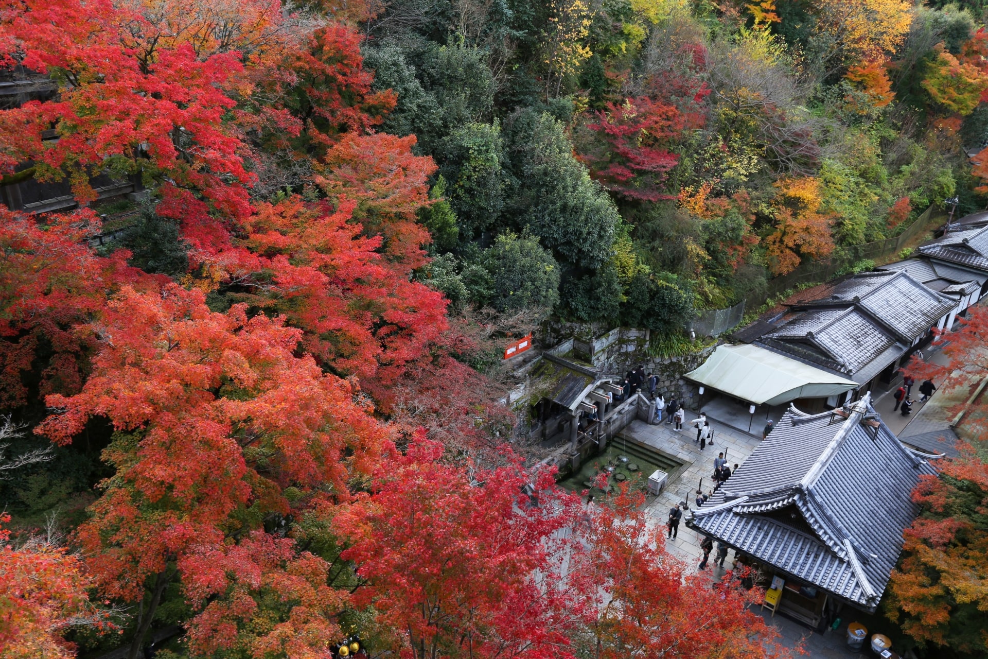 Kiyomizudera in Autumn