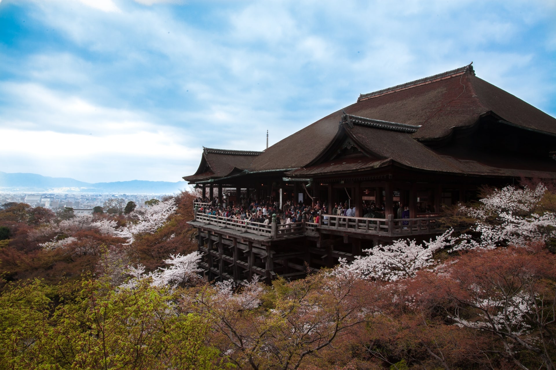 Kiyomizudera temple in Spring with Sakura