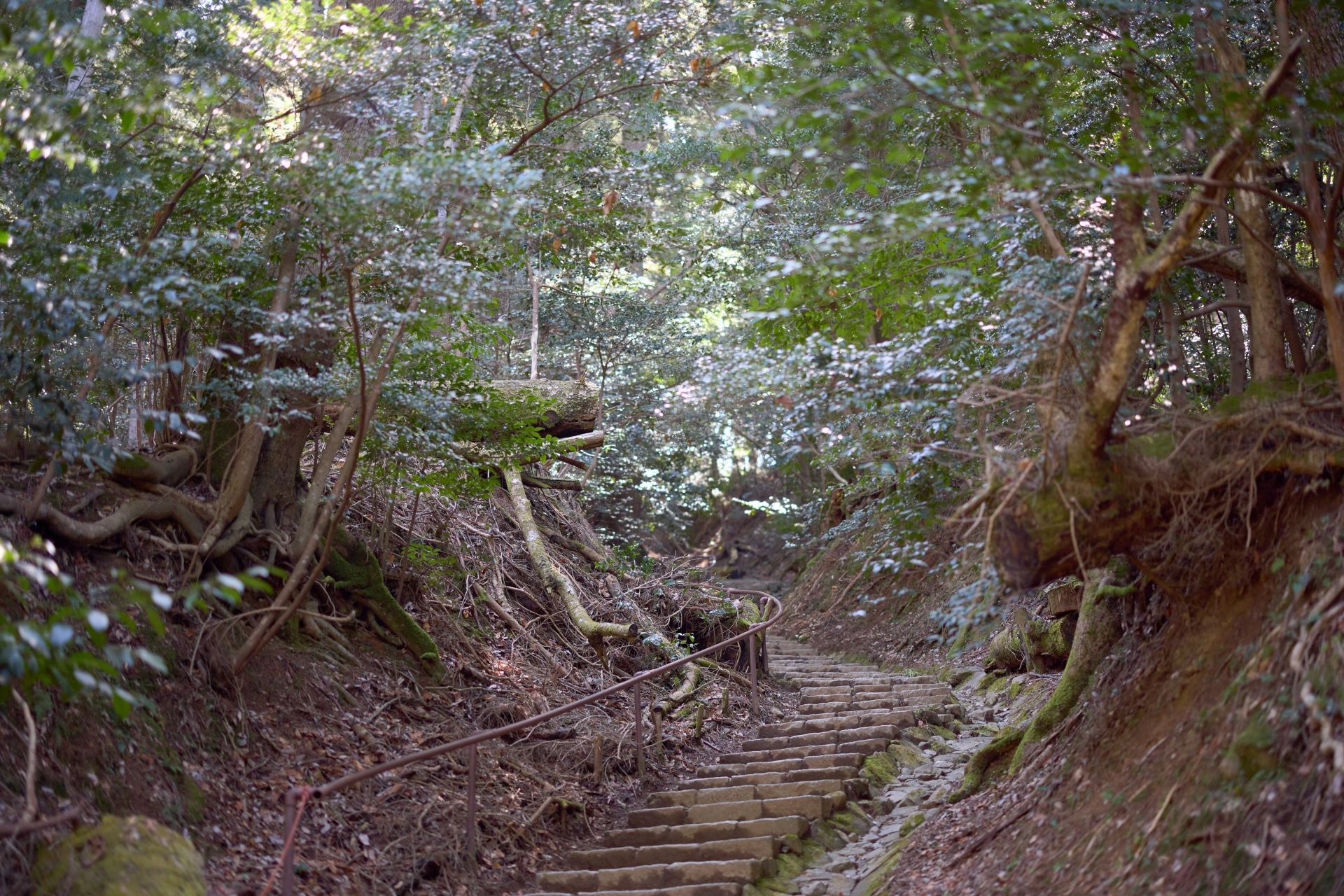 Hiking in Mount Kurama