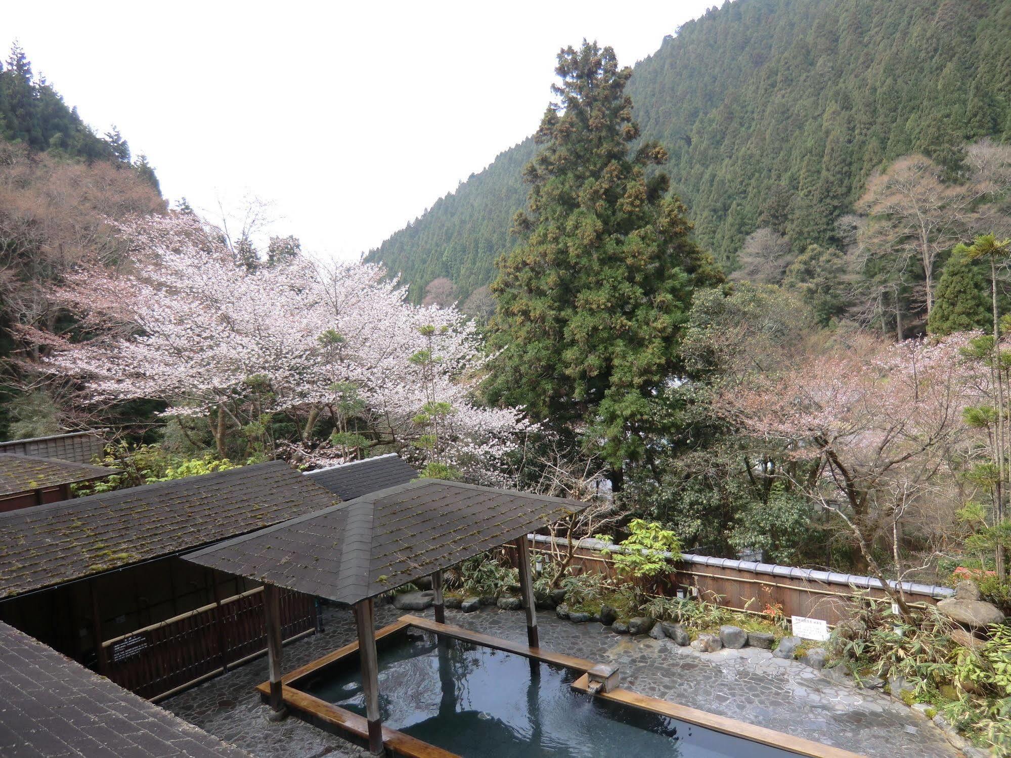 Kurama Onsen in Spring