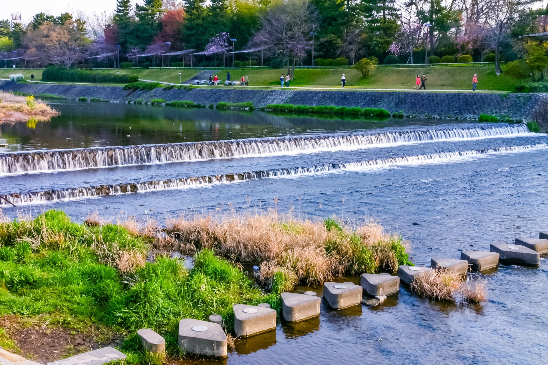 Kamogawa River in Kyoto