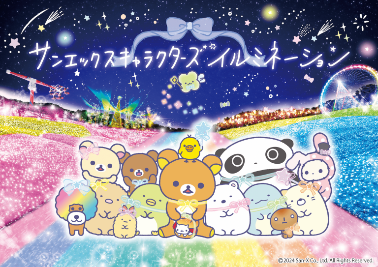 SAGAMIKO ILLUMILLION 2024-2025